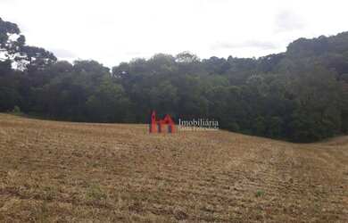 Imagem 6: Área à venda, 15125 m² por R$ 420.000,00 - Fazendinha - Campo Largo/PR