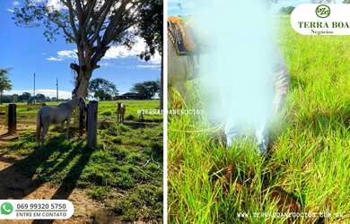 Imagem 7: FAZENDA 210 ALQUEIRES 92 ALQUEIRES ABERTO - ARIQUEMES