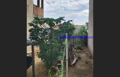 Imagem: O terreno possui 150m² de Área e está localizado em Parque