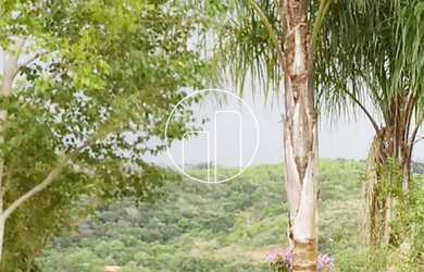 Imagem 15: Pedreira - Chacara - Sousas