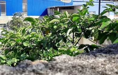 Imagem: O terreno possui 300m² de Área e está localizado em Vila