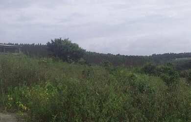 Imagem 11: LINDA FAZENDA EM STA CRUZ CABRALIA pertinho de PORTO SEGURO - BA