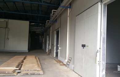 Imagem 9: Pinto Bandeira - Galpão/Depósito/Armazém - Zona Rural