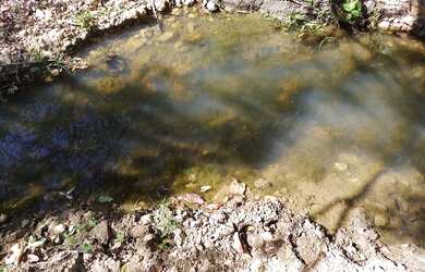 Imagem: O terreno possui 20.000m² de Área e está localizado em Jaboticatubas