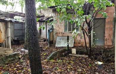 Imagem 6: LOJA COM TERRENO NO ROCHA