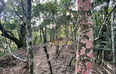 Imagem 8: Terreno à venda, 18748 m² por R$ 8.000.000,00 - Estância Serrana -...