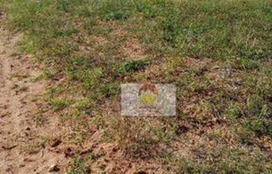 Imagem 2: Fazenda à venda, 560 Alqueires por R$ 56.000.000 - Penápolis/SP