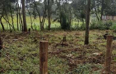 Imagem 6: Terreno no Tietê araucária