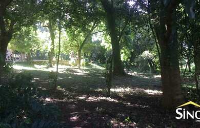 Imagem 3: Lote/Terreno para venda tem 450 metros quadrados em Lomba Grande - Novo Hamburgo - RS