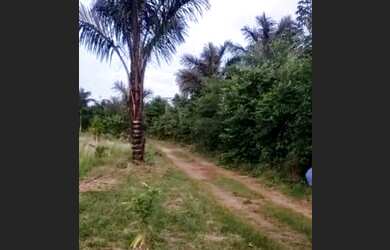 Imagem 1: Rodovia Manoel urbano lt br gt Km 07 vila do janauari Terreno 20x50