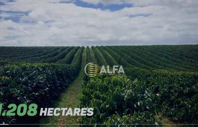 Imagem 3: Fazenda à venda, 1317 alqueires paulista por R$ 230.000.000 - Zona Rural...