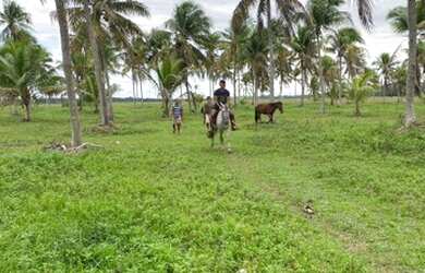 Imagem: A fazenda está localizado em Conde, BA à venda por R$120.000