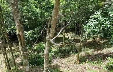 Imagem 13: Terreno / Lote 360m² - Siméria