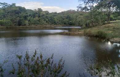 Imagem: A fazenda possui 15453m² de Área e está localizado em Cocalzinho