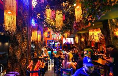 Imagem 5: Pub e Bar em Balneário Camboriú