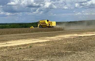 Imagem: A fazenda possui 850m² de Área e está localizado em Nobres