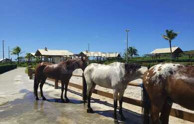 Imagem 5: Lote no Condomínio Fazenda Real Residence 1
