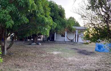 Imagem 6: Vendo, troco e negocio sítio no BOM INTENTO