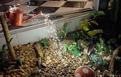 Imagem 6: Casa para relaxar, estilosa, privativa e pet friendly