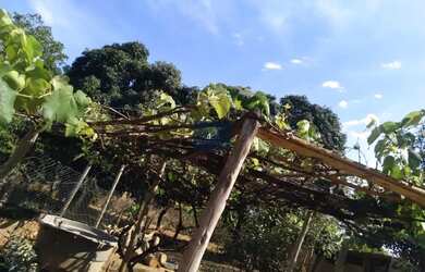 Imagem 5: CHÁCARA EM CACHOEIRA DO CHORO COM 10 MIL METROS QUADRADOS