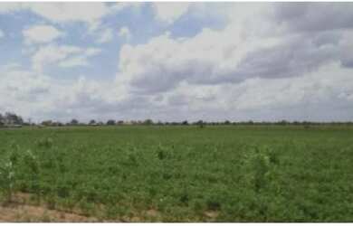 Imagem: A fazenda possui 160m² de Área Privada e está localizado