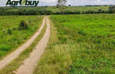 Imagem 1: Fazenda Arapoema to. 10m² de Área