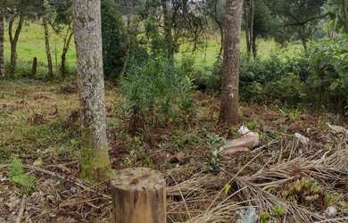 Imagem: O terreno possui 600m² de Área e está localizado em Capela