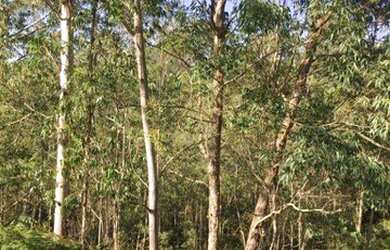 Imagem 3: Terreno à venda, 1173 m² por R$ 250.000,00 - Serra dos Lagos - Cajamar/SP