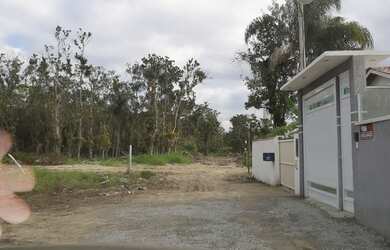 Imagem 3: Terreno em Shangrilá. 