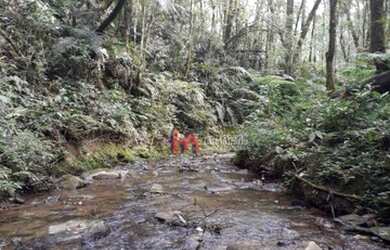 Imagem 7: Área à venda, 15125 m² por R$ 420.000,00 - Fazendinha - Campo Largo/PR