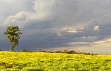 Imagem 1: Terreno à venda, 1232m² por R$ 425.000,00 UP Residencial - Parque Reserva...