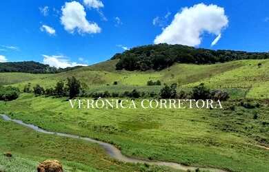 Imagem 1: Ótima fazenda à venda em São João Nepomuceno MG