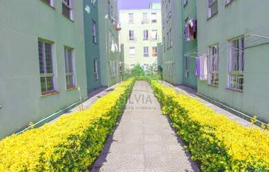 Imagem 4: Apartamento 3 dormitórios - Novo Mundo