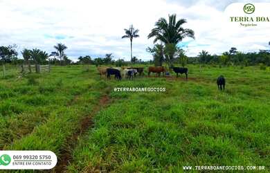 Imagem 4: FAZENDA 210 ALQUEIRES 92 ALQUEIRES ABERTO - ARIQUEMES