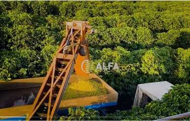 Imagem 6: Fazenda à venda, 1317 alqueires paulista por R$ 230.000.000 - Zona Rural...