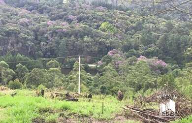 Imagem 2: Terreno à venda, 1652 m² por R$ 120.000 - Vila Paiva - Suzano/SP