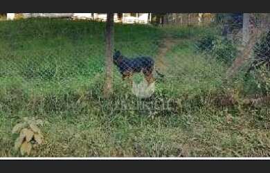 Imagem 2: Venda - Terreno - 1.809,50m² - Santa Gabriela - Alm Tamandare