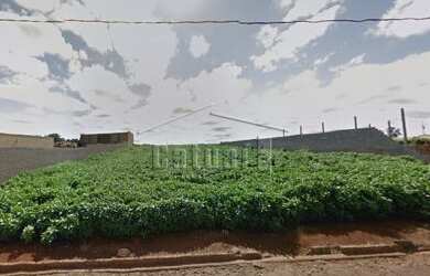 Imagem 3: Terreno área industrial - Bairro Estância Delaville em Londrina