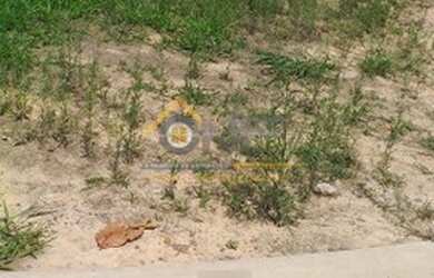 Imagem: O terreno possui 307m² de Área e está localizado em Parque