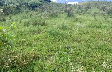 Imagem 2: 1000 metros quadrados por R$35 mil á vista em Boa Vista - Igaratá -...