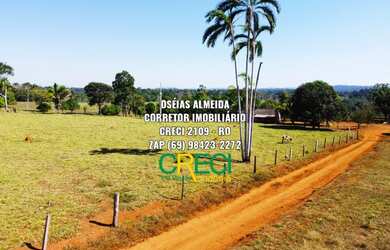 Imagem: 18.2 Alqueires Escriturada Machadinho-RO