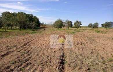 Imagem 14: Fazenda à venda, 560 Alqueires por R$ 56.000.000 - Penápolis/SP
