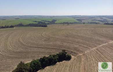 Imagem 2: Ótima fazenda a venda próxima a Rodovia Castelo Branco em Porto Feliz