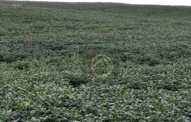 Imagem: A fazenda possui 653.400m² de Área e está localizado em