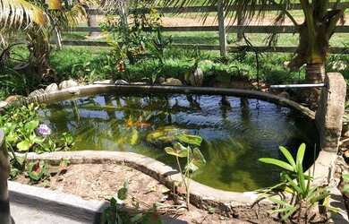 Imagem 1: Fazenda em Juscimeira à venda, 5020000 m² por R$ 6.000.000 - Zona Rural...