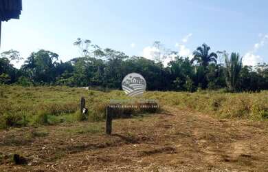 Imagem: Theobroma - Chácara - 5 alqueires