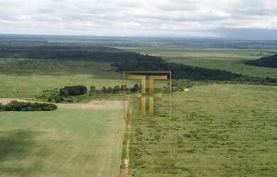 Imagem 2: Fazenda 7000 Hectares, Santa Terezinha, MT
