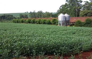 Imagem: A fazenda possui 111.320m² de Área e está localizado em