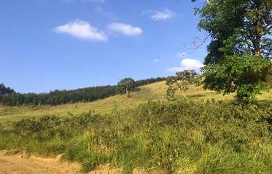 Imagem 5: Lote/Terreno para venda tem 500 metros quadrados