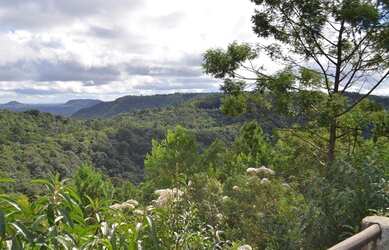 Imagem 3: Terreno à venda, 860 m² por R$ 310.000,00 - Vale dos Pinheiros - Gramado/RS